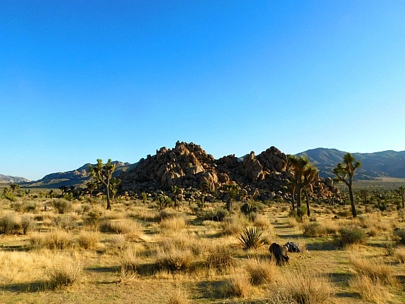 9937D44C5BE11AE90D3E49