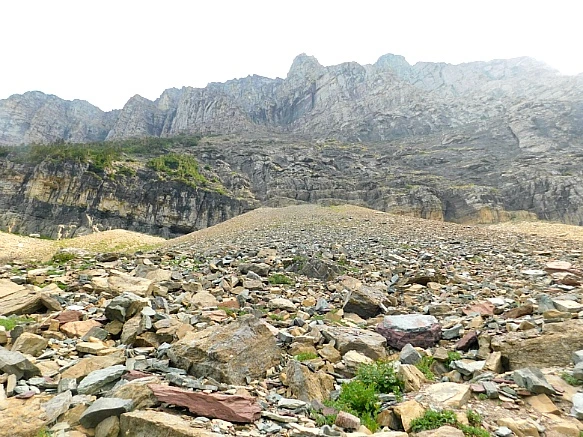 99F57A4C5B88ACF3055002