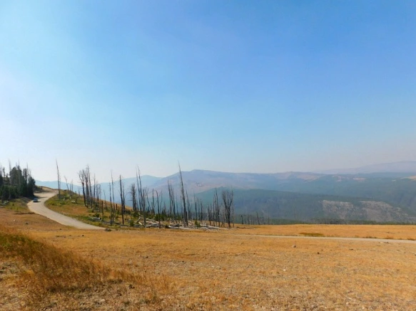 99AD603359ADFAEF33B31F