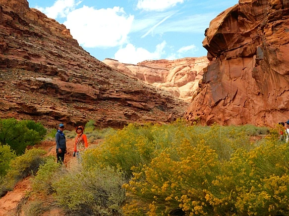 9949C44F5BBC2D0209B241