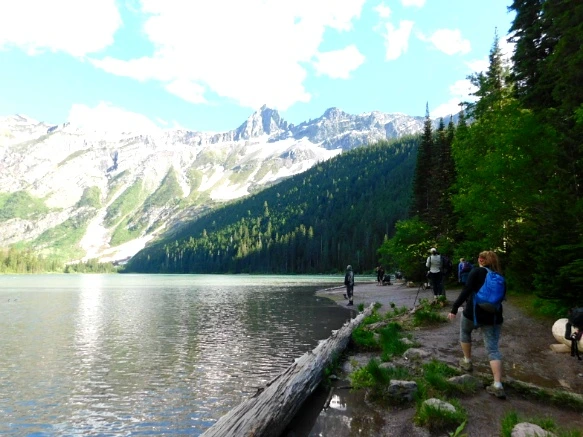 9965C94A5B381A0E384282