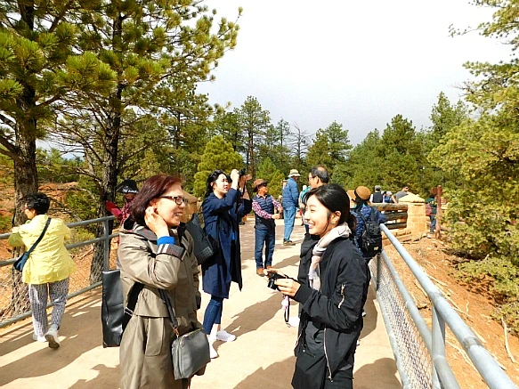 9979C84A5BC67CE02C117D