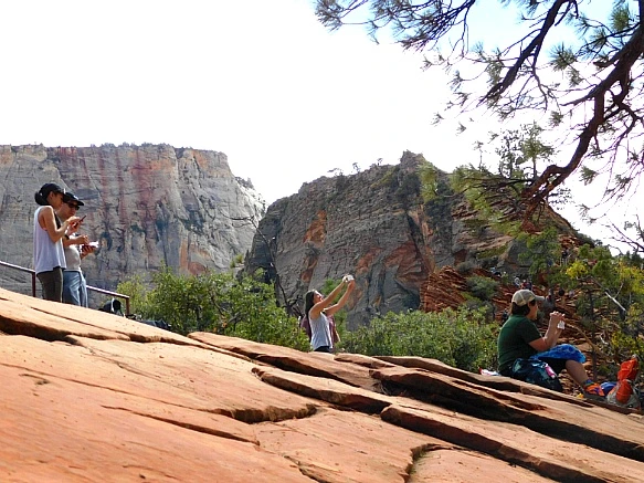 994F024E5BC69A871EA78C