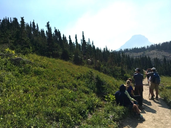 9966363359A24ED133B619