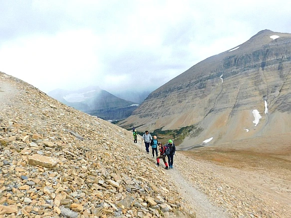 999F0D4A5BA05B9425EE19