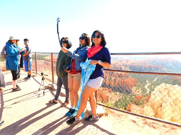 245E1A335769D74E18A0E2