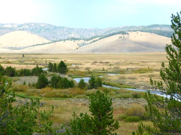 99227C3359A9EBE42328A2