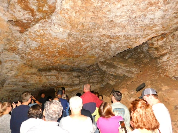 996B474C5B44058E3527EA