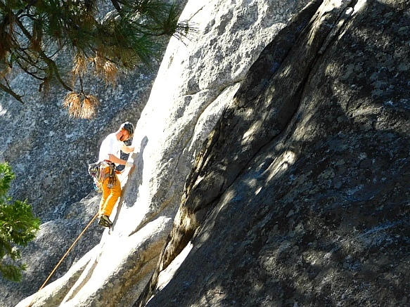 9985F73C5BD67239337D86