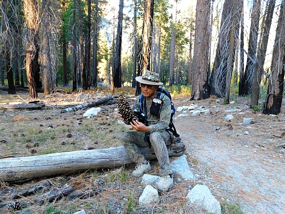 9930664A5BDBD9A727B052