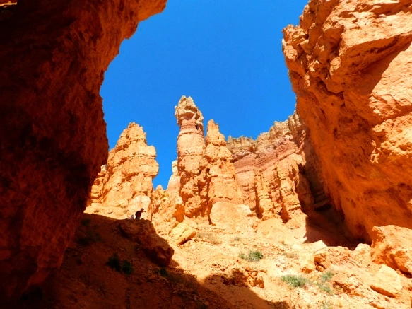 9908683359B878B010B424