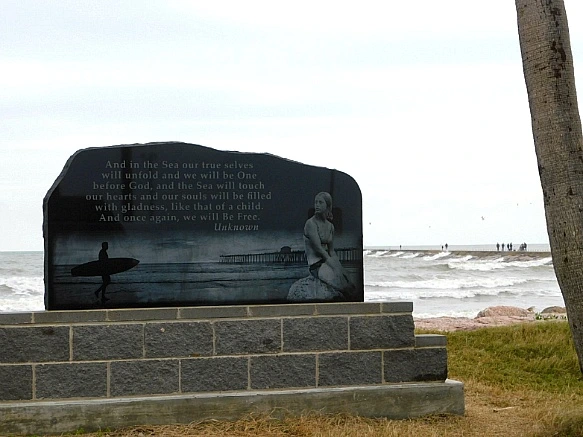 99F9AE3C5BF770632E29DB