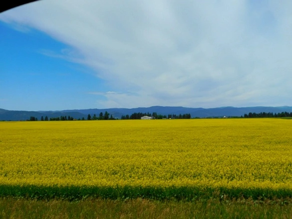 9967FA485B39A5602B79E1