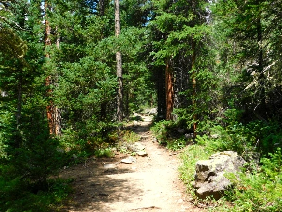 996D59485B6E69EF09EFB0