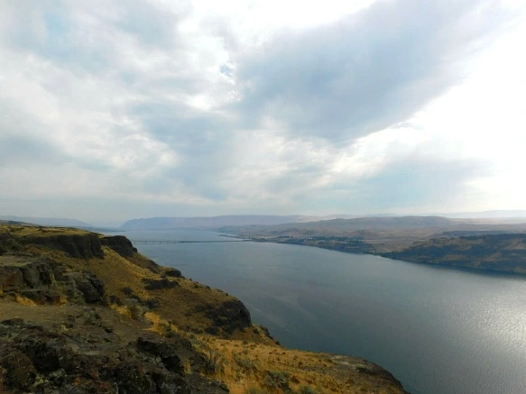 99E4203359A3833A1D86D6