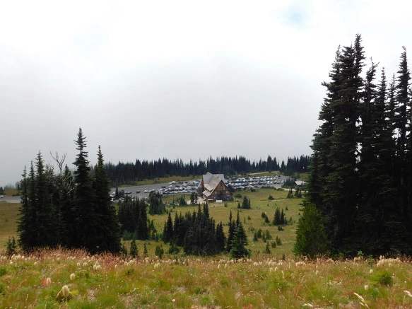 99B1733359A4AAF4082357