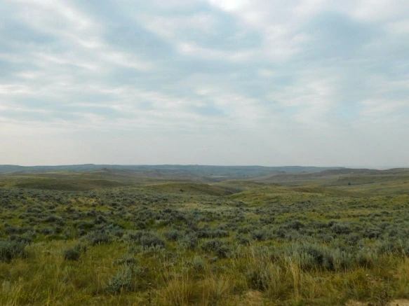 991E284E5B77A1FA0E29DD