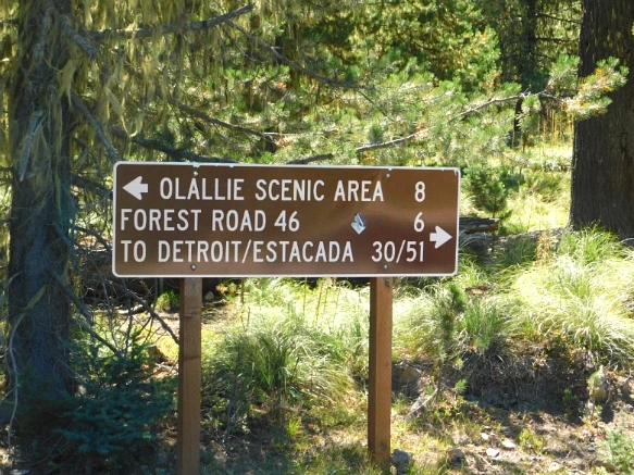 99CA5D3359A62C76306C8D