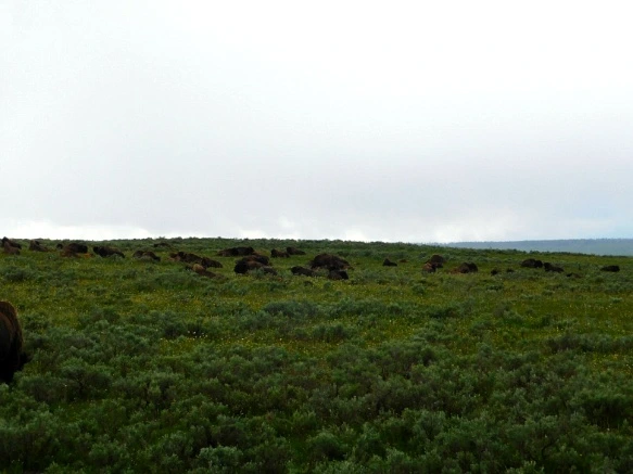 99BE014B5B39A83B026FFE