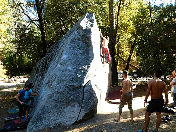 9902EA335BD6885537F972