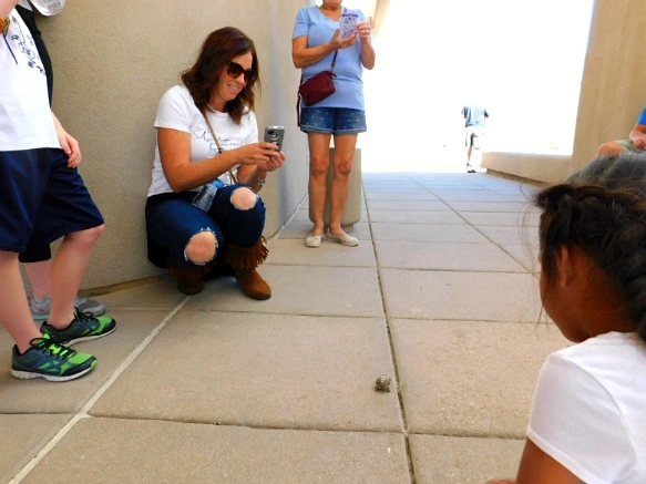 9901D8335A2A10F012954F