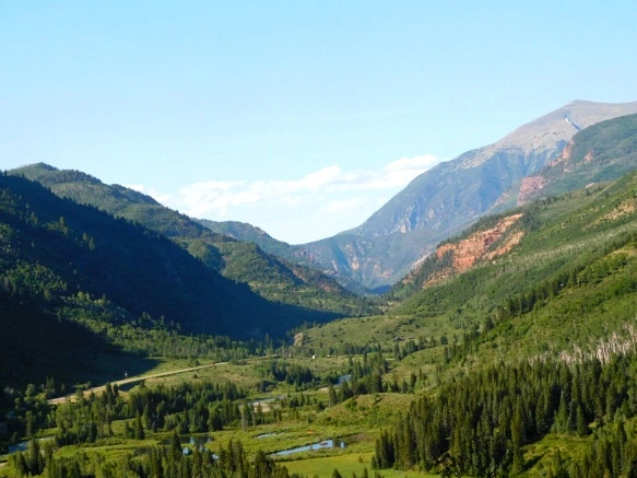 27238448595C31321884F0