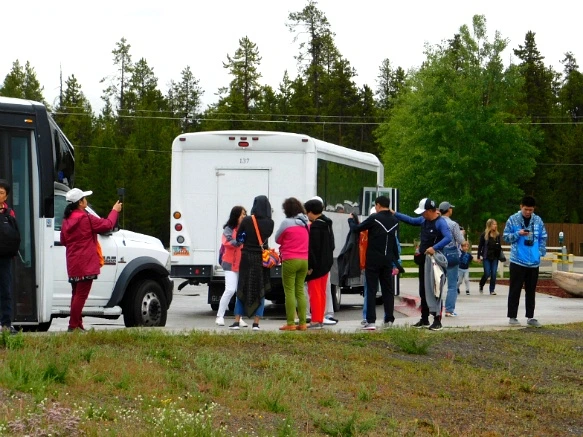 99F63B465B39A57B288708