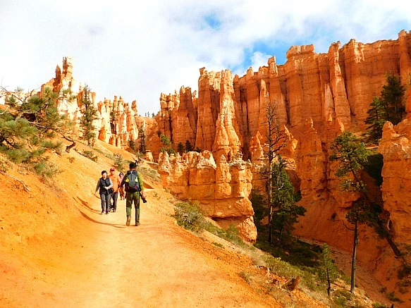 99EE474E5BC567FD08800A