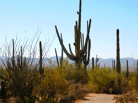 993733335A2A138A1FC8FE