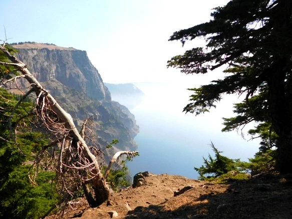 991F873359A62E8922F87A