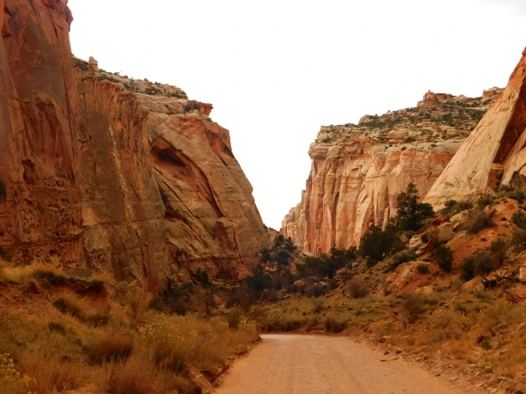 99C020335A13BB322A1D45