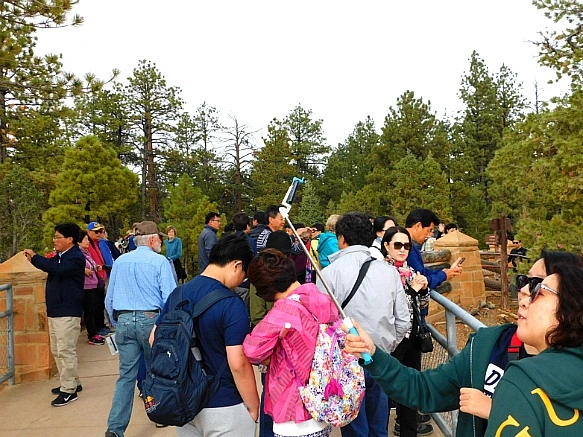 992E5C435BC56D1137543C