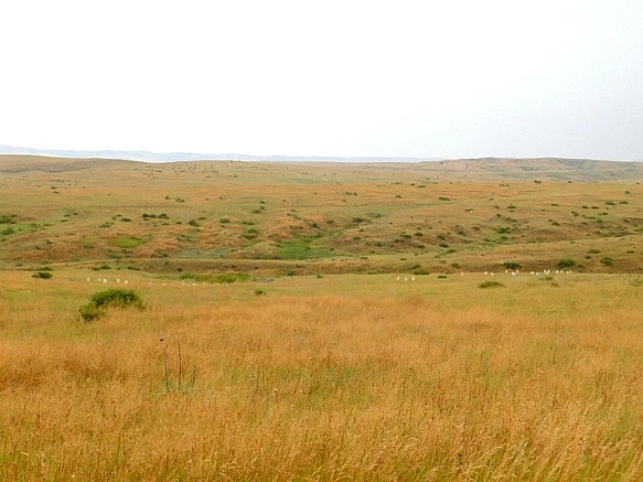 99170C4F5B8379D7252939