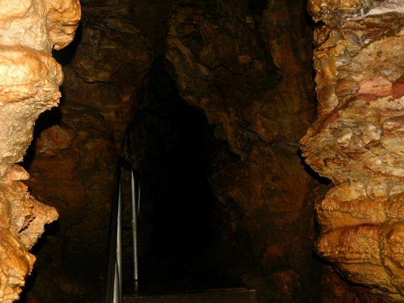 99ED62455B4405AC2E08A5