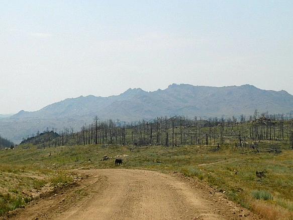 9976A84F5B7653C42F6B5B