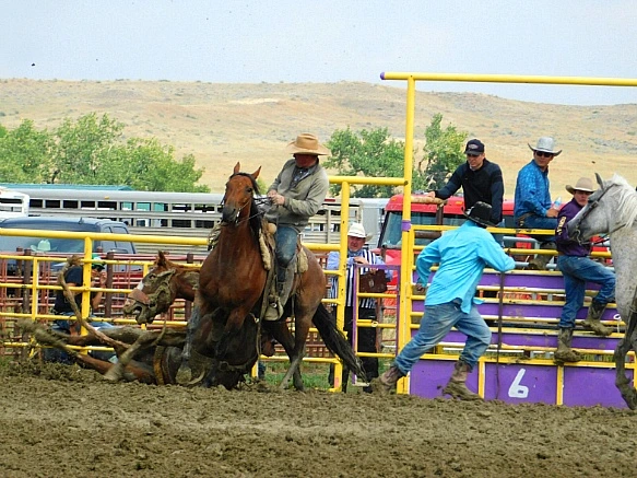 9971CE3C5B7F81B208EC9A