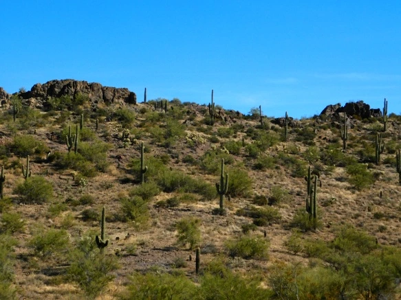 9934FA335A25F311314785