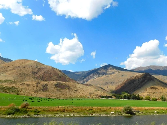 9949E83359AB28ED16E083