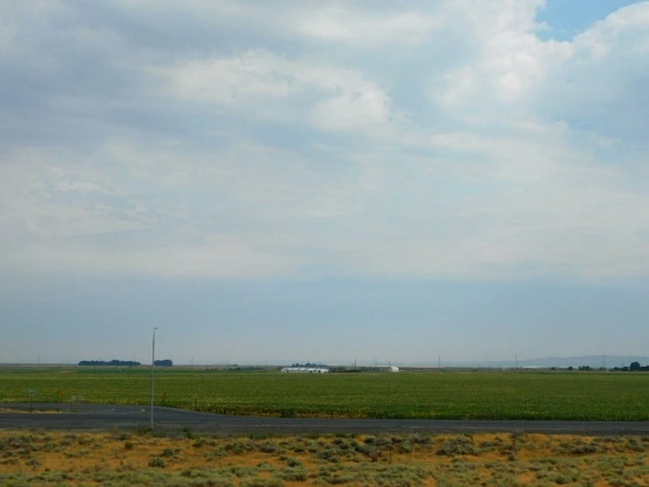 9960F53359A3832D055FB8