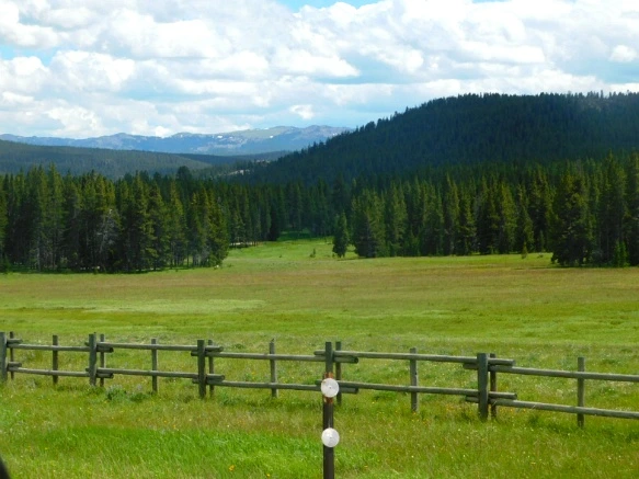 990C794C5B402B1A08220A