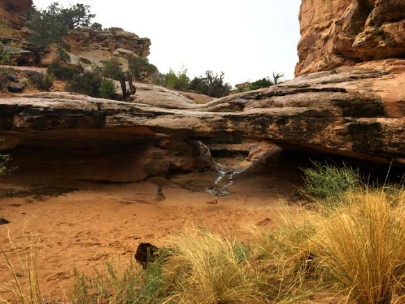 99F5E63359B751312E879F