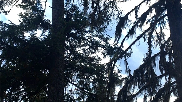 998C41465BAB076730F2D4