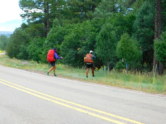 9942023359C3352407FC14