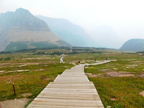 9904D5465B8A038404C3E9