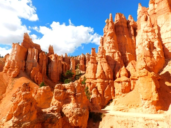 9922163359B9B8FB1CCC7A