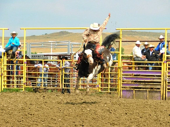 9908FC335B7F84C70AB4EB