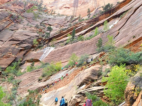 9931C2505BC695450FB727