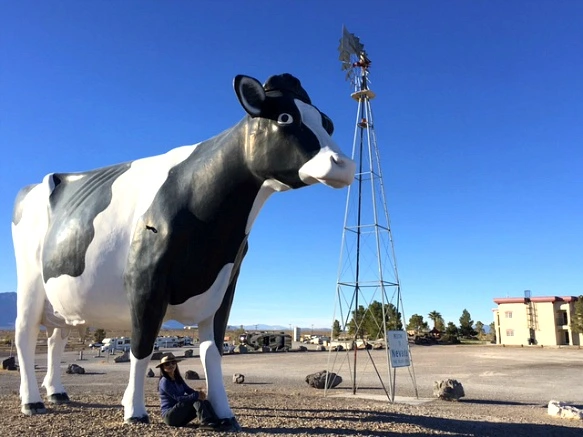 99EAFF335A24BD38050BB9