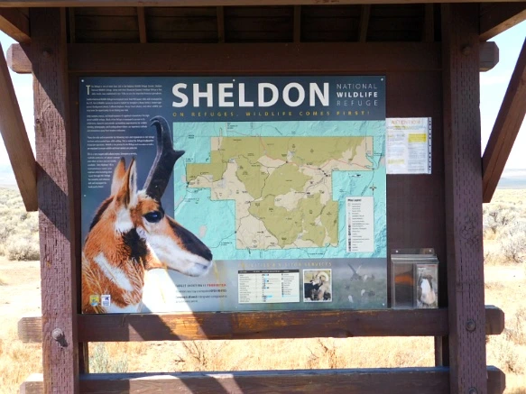 9950B83359A77A07238E3B