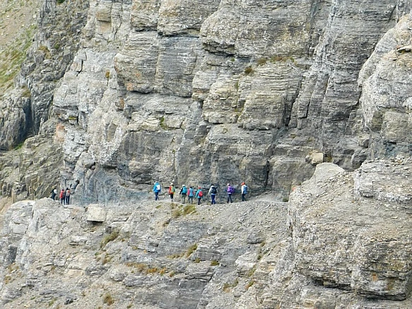 99541C4C5B9F2E433BD5E1